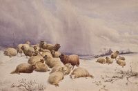 T.S.Cooper-SheepinSnoww-1 2